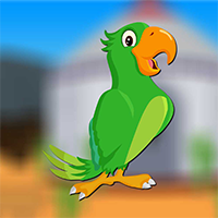 AvmGames Male Parrot Escape Walkthrough